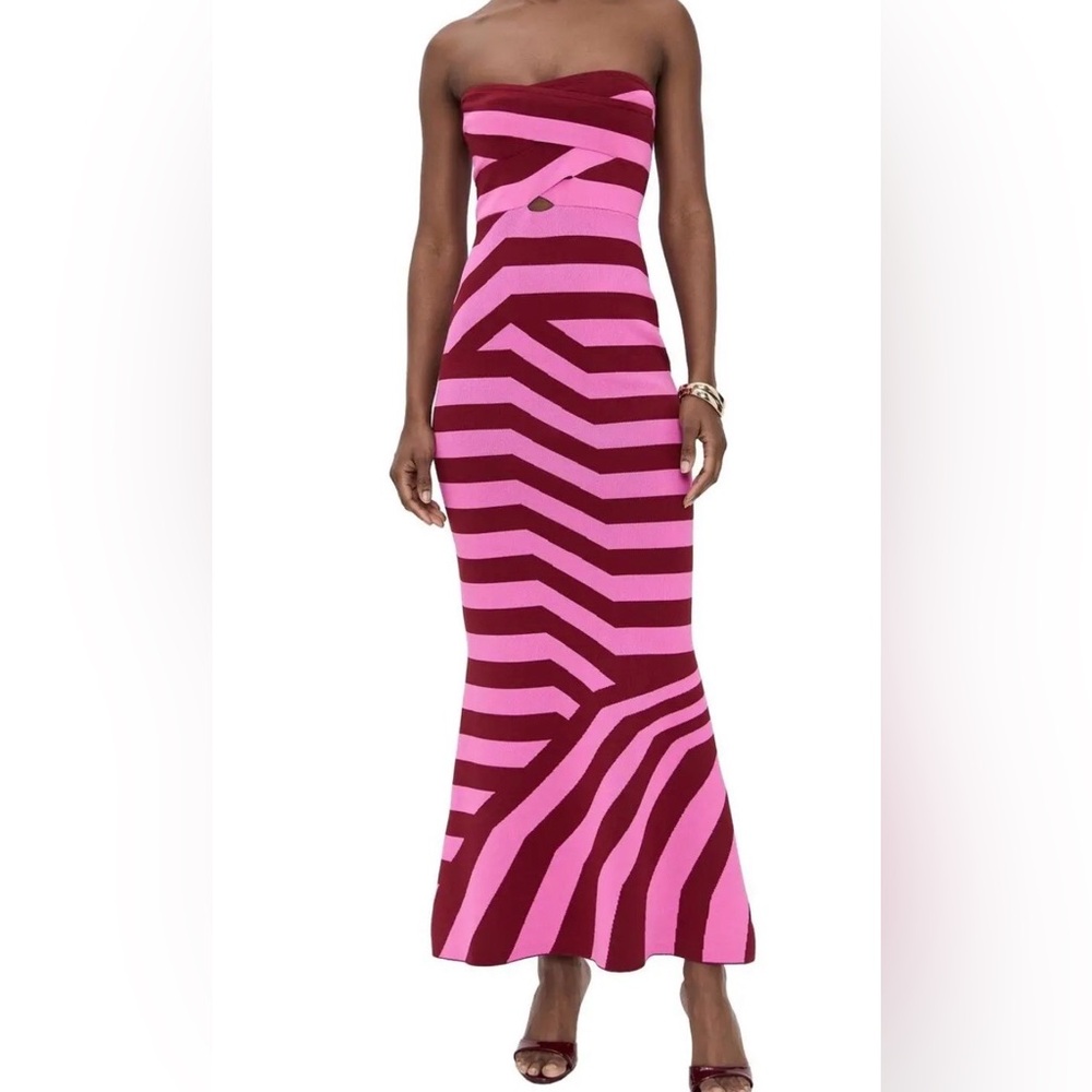 The Wolf Gang Aude Maxi Dress Berry Stripe XS $295 NWT!